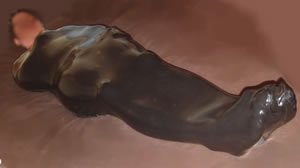 File:Sleepsack.jpg