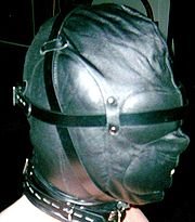 Isolation hood.jpg